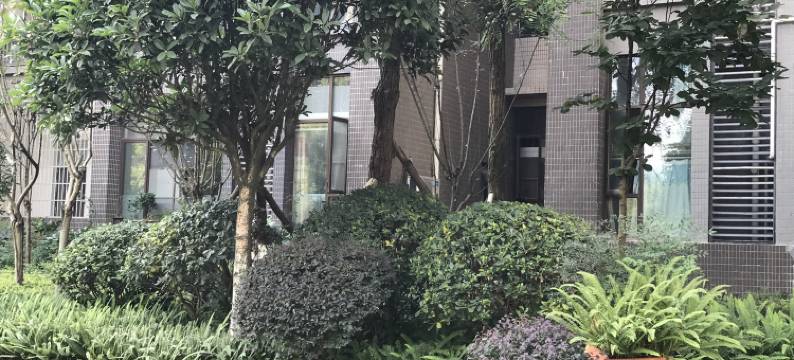 遵义奔驰的狼公寓图片