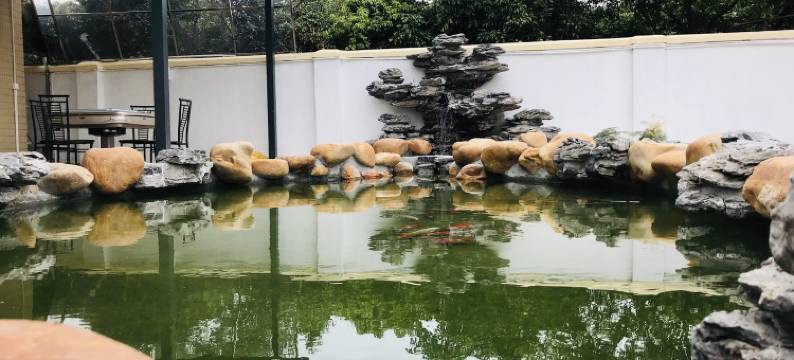 广州大树zsx度假别墅图片