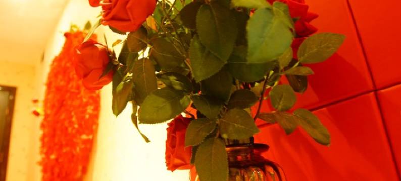 成都朝花夕宿小夕公寓(中环路武阳大道段分店)图片