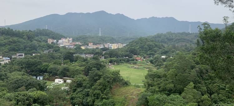 深圳书香小院(2号店)图片