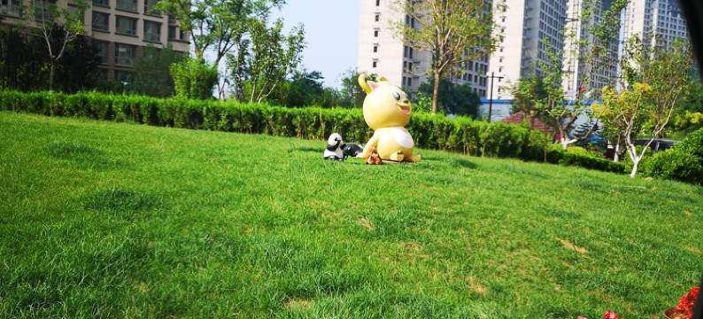 乐亭小涛海景公寓图片