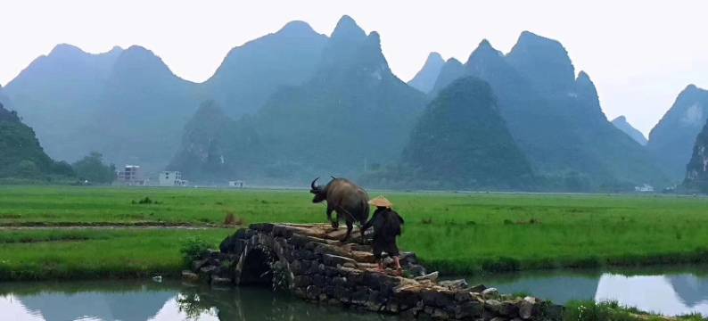 桂林唐桂萍公寓图片