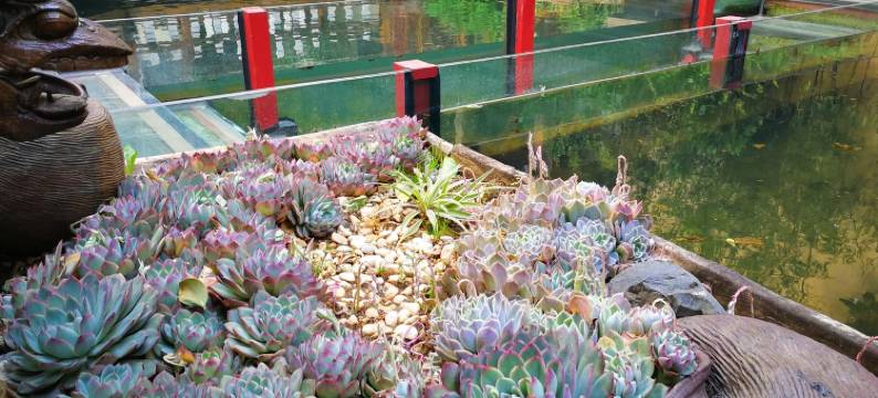 老故事客栈(丽江古城店)图片