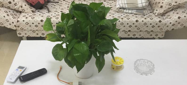 荣成那片海温暖小居呀公寓图片