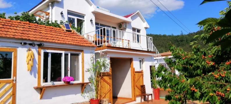 樱花里客栈(青岛南北岭村店)图片