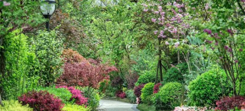 成都菡妈度假别墅图片