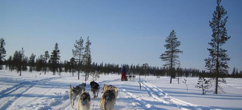 熊窝别墅(Villas Karhunpesä)图片