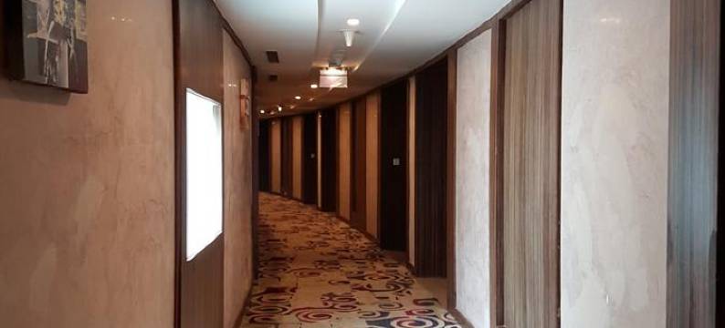 乌代布尔丽筠酒店(Radisson Udaipur)图片