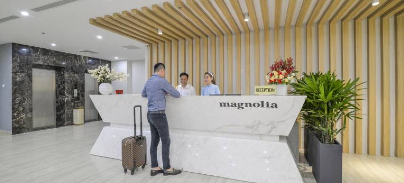 岘港白玉兰酒店(Magnolia Hotel)图片