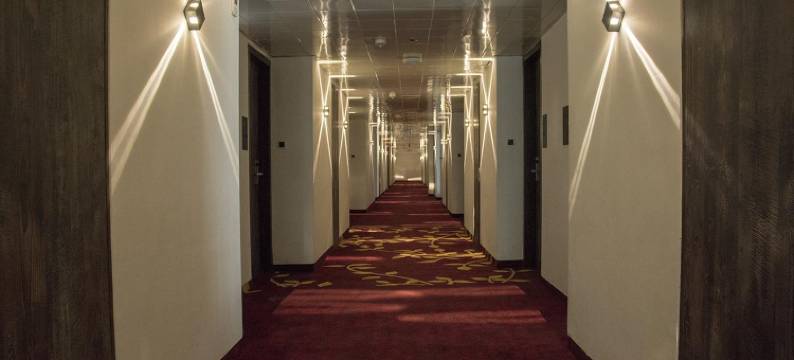 那格浦尔雷根塔中心酒店及会议中心(Regenta Central Hotel & Convention Centre Nagpur)图片