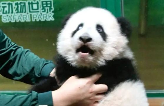 廣州長隆野生動物世界