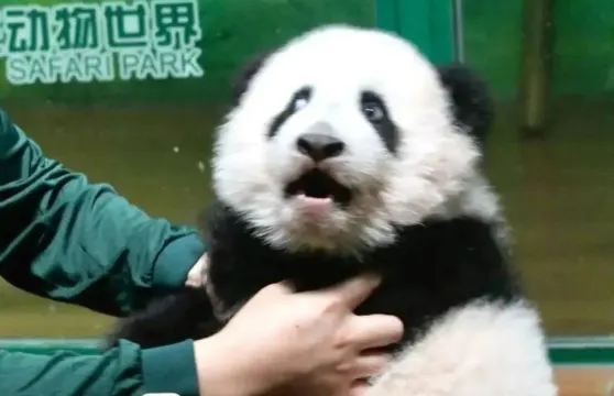 廣州長隆野生動物世界