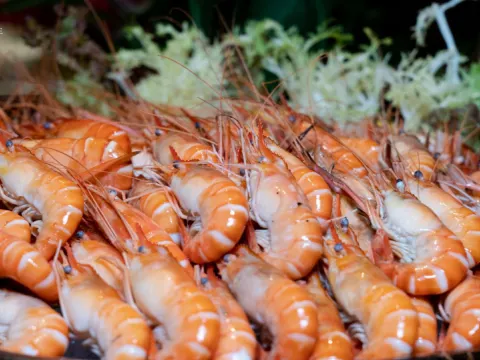 河源匯景希爾頓逸林酒店