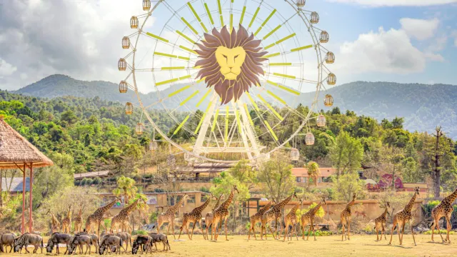 清遠長隆森林王國