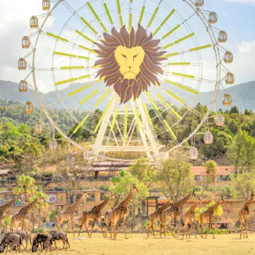 廣州+清遠3天團·2025年全新開業~清遠長隆國際旅遊度假區(長隆森林王國)+JOYPOLIS廣州華夏世嘉都市樂園