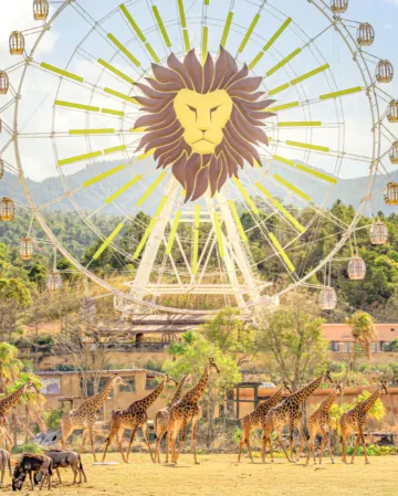 廣州+清遠3天團·2025年全新開業~清遠長隆國際旅遊度假區(長隆森林王國)+JOYPOLIS廣州華夏世嘉都市樂園