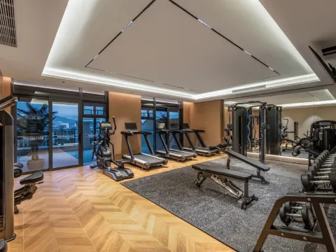 惠州羅浮山力天開元名都酒店