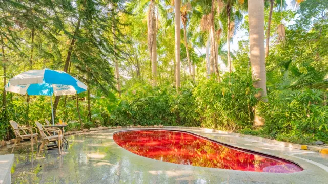 聚龍灣温泉度假村 