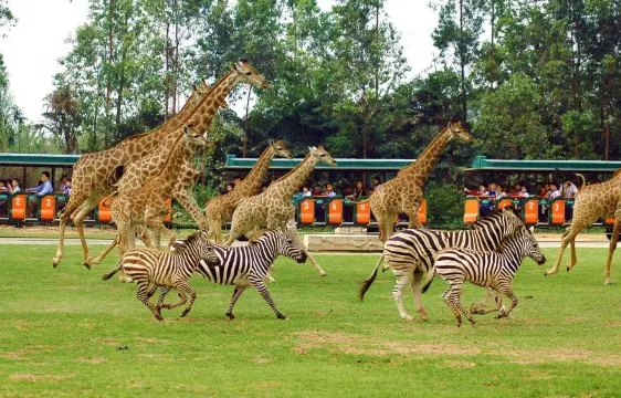 廣州長隆野生動物園