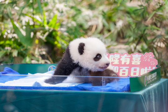 廣州長隆野生動物世界