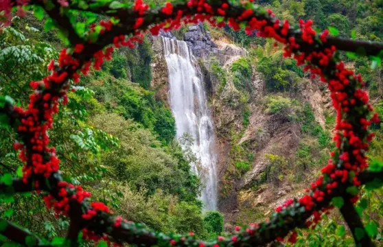 筆架山九重飛瀑 