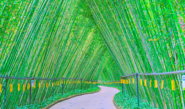 筆架山九重飛瀑 