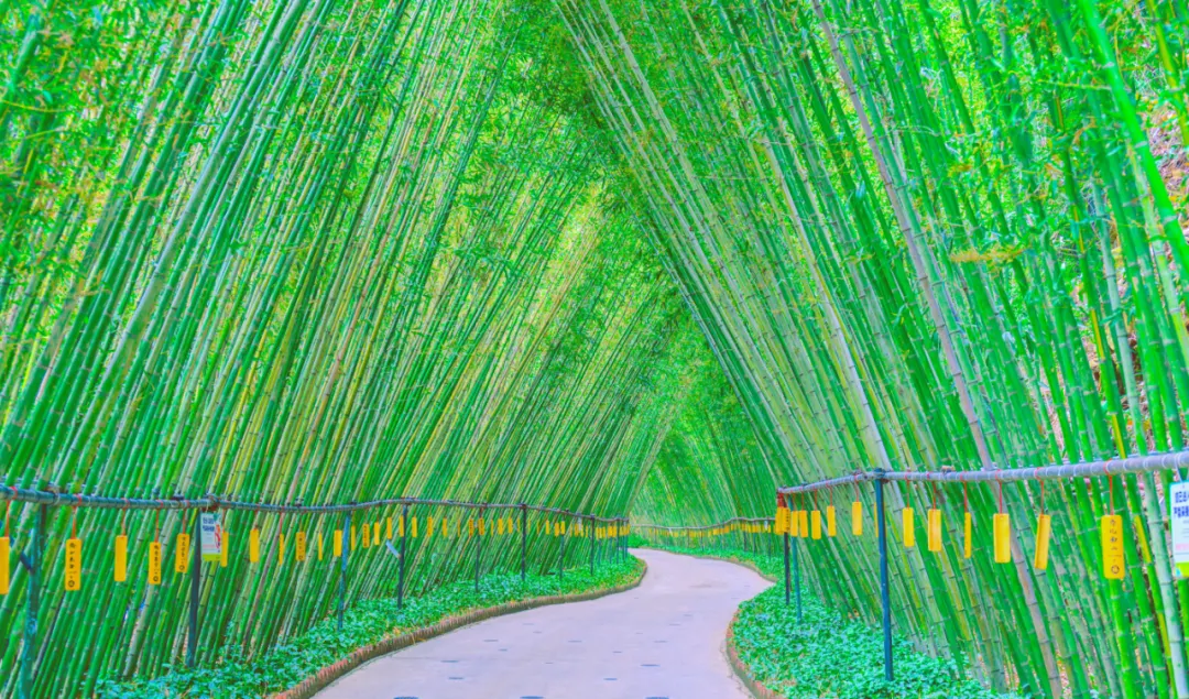 筆架山九重飛瀑 