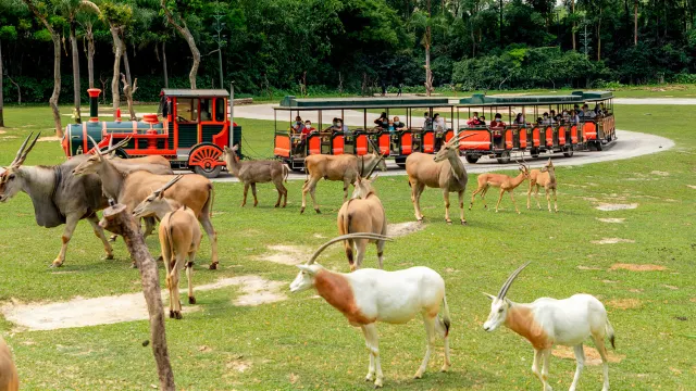 廣州長隆野生動物園