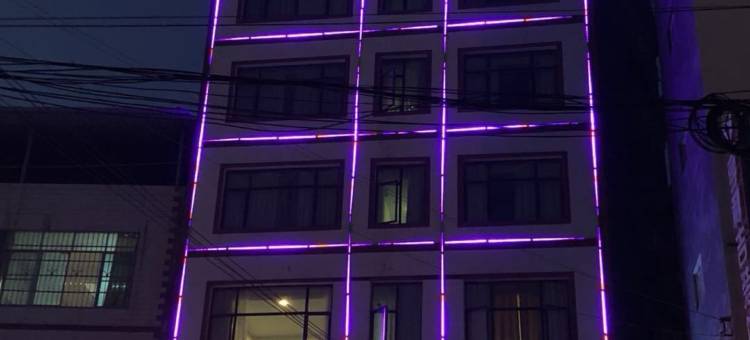 册亨米莱主题酒店图片