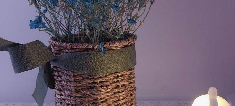 平凉漫时光青年旅舍图片