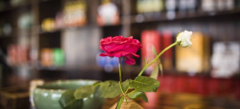 丽水落凡尘民宿图片