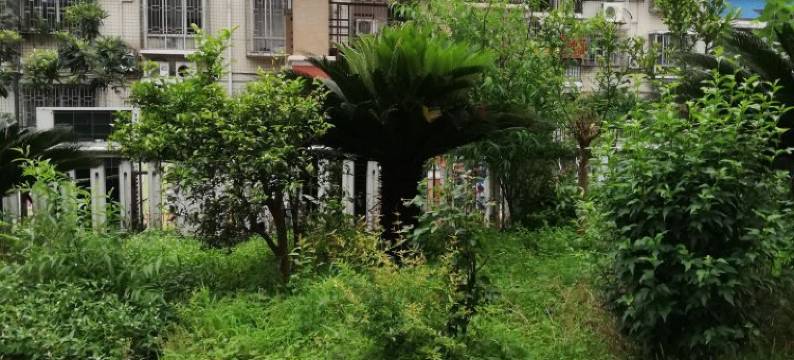 郴州前世今生青旅图片