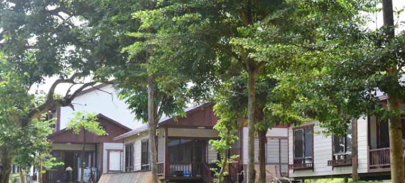 南宁豆乐园农场图片