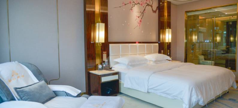 芒市金升酒店图片