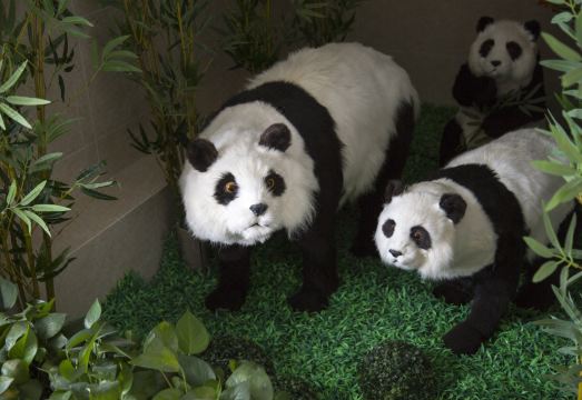 Xihe Ecological HotelHotel Overview