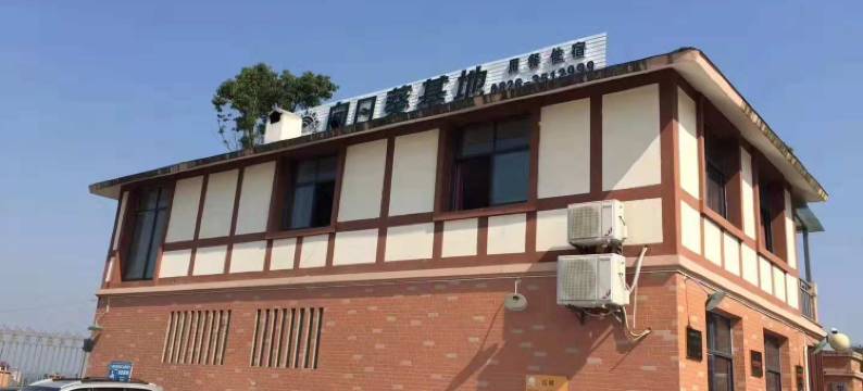 邻水向日葵基地图片