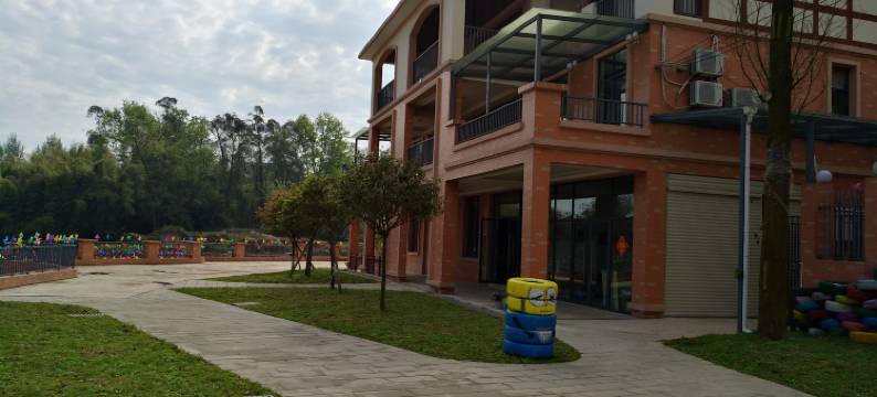 邻水向日葵基地图片