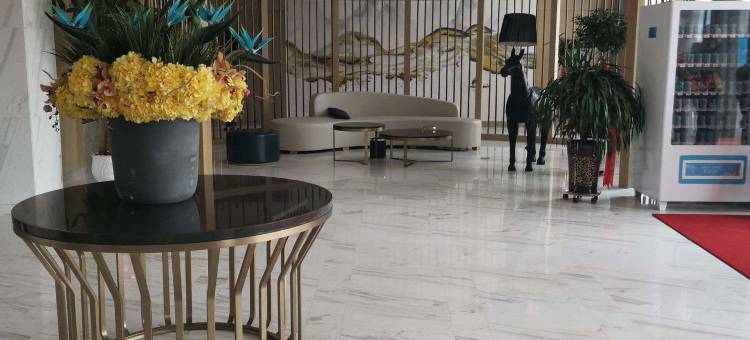 托里达康酒店图片