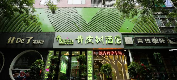 青皮树酒店(合肥三孝口地铁站店)图片