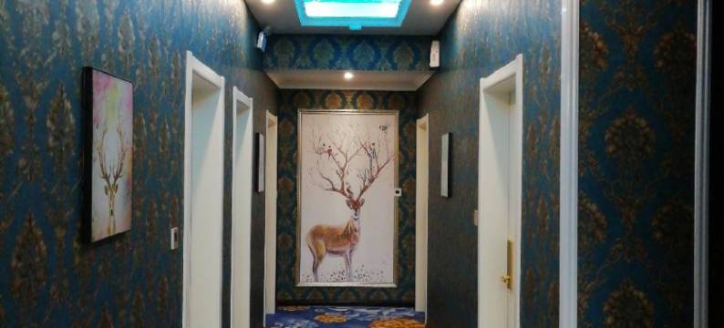 洛南樱花主题酒店图片