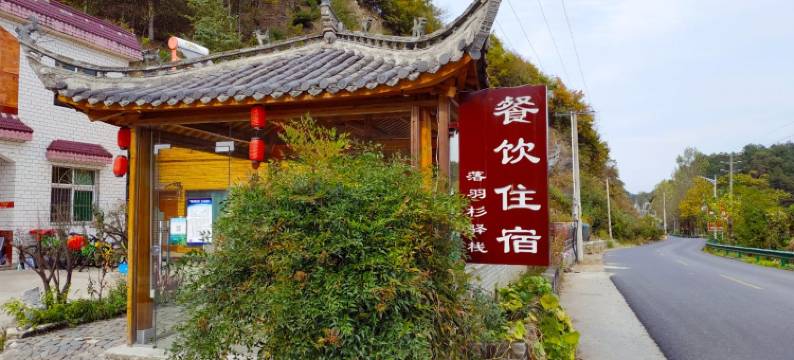 宁国原食农舍落羽杉驿栈图片