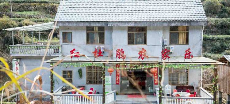 松阳红杜鹃农家乐图片