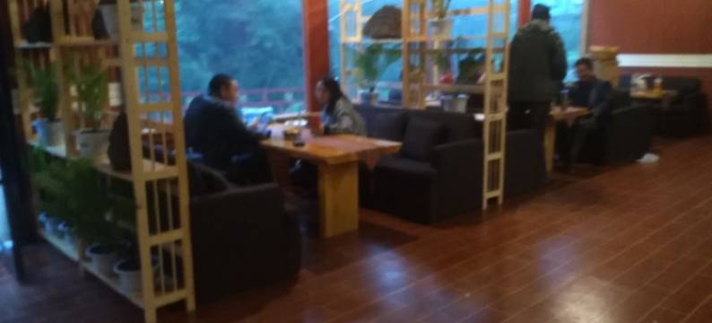 林芝排龙神汤温泉酒店图片