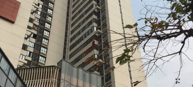 佛山礼寓民宿图片