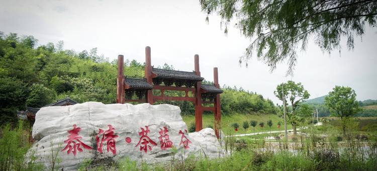 郎溪泰清·茶蕴谷酒店图片
