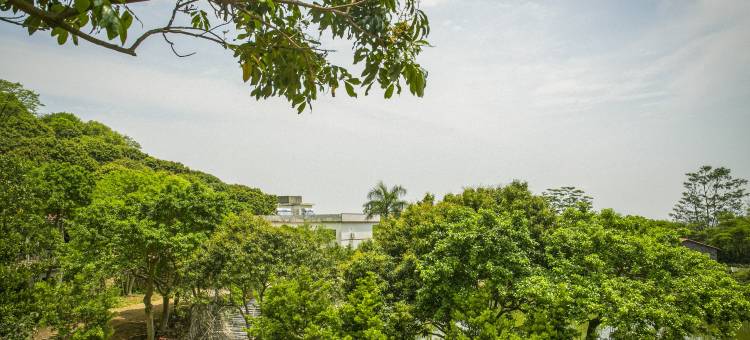 博罗罗浮山莫洞果园农庄图片