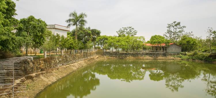 博罗罗浮山莫洞果园农庄图片