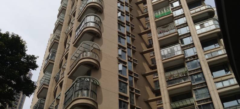 深圳81青年旅舍图片