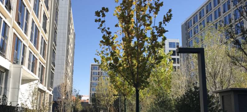 隐觉Loft和风酒店式公寓(北京新国展店)图片