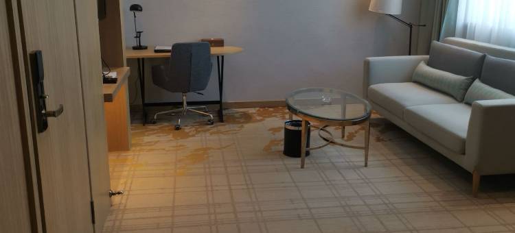 托里达康酒店图片